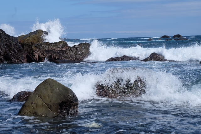黄金の鰹のたたきとは?高知の香りと旨味を堪能!